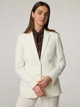 Image sur Blazer